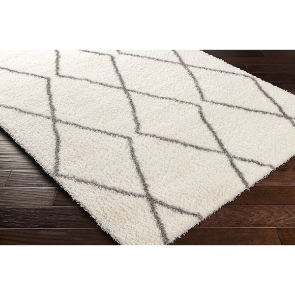 Cloudy Shag CDG-2317 Machine Crafted Area Rug